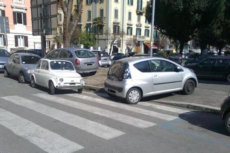 L'abituale sosta selvatica L'abituale sosta selvatica