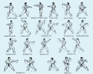 Tecniche di pugno del Karate