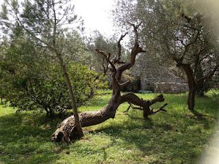 Metti a volte un weekend... Metti a volte un weekend...