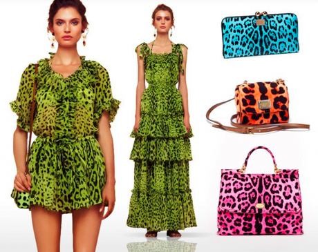 DOLCE & GABBANA / FLUO / LEOPARD