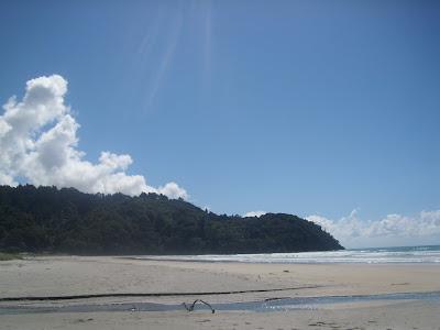 beautiful Kiwi beaches - le bellissime spiagge Kiwi