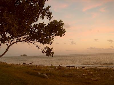 beautiful Kiwi beaches - le bellissime spiagge Kiwi