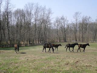 Attività all'aria aperta: Lagoni di Mercurago Attività all'aria aperta: Lagoni di Mercurago