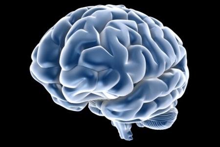 NF14 – Il Cervello