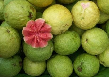 Guava, il frutto che viene dai Tropici