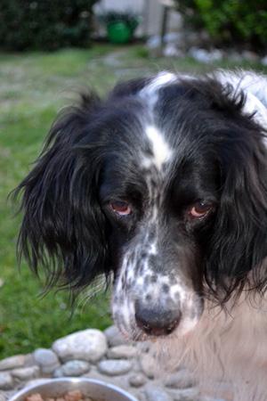 nemo fuori Wadai – frittelline indiane (compleanno)