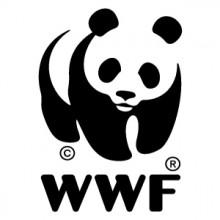 Ora della Terra: il WWF ringrazia, 5000 città hanno spento le luci