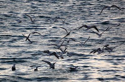 Memorie libiche. Luce, acqua, aria. Memorie libiche. Luce, acqua, aria.