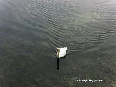 ...L'AUTUNNO SUL LAGO MAGGIORE....