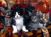 Razze canine feline malattie