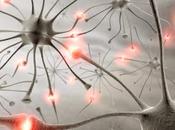 Epilessia Idiopatica Cane Gatto terapia