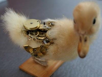 TAXIDERMY + STEAMPUNK  ARTE