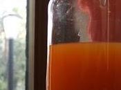 Liquore mandarino anice stellato
