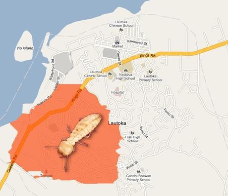 Mappa di Lautoka con termiti