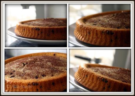 Ricot-torta™ : torta di ricotta con gocce di cioccolato Ricot-torta™ : torta di ricotta con gocce di cioccolato
