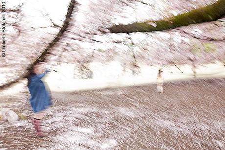 14_04_10_japan_spring_2010_mii_2568_pg