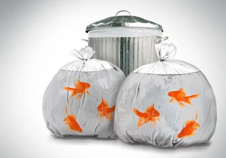 Mission: impossible - failure. E oltre il danno la beffa!