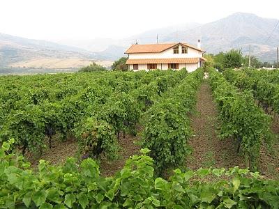 ROVITTELLO DEGUSTA. Per festeggiare il primo maggio all'ombra del Vulcano, da Etna Nocciole