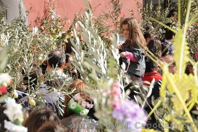 Domenica delle Palme a Positano