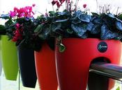 DESIGN gamba Greenbo, vaso fiori