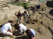 L’ominide anello mancante dell’evoluzione umana