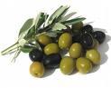 Olive nere in salamoia