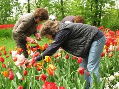 Castello di Pralormo:Messer Tulipano, prima parte