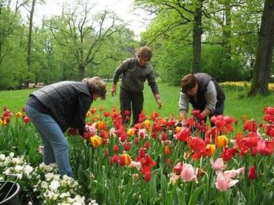 Castello di Pralormo:Messer Tulipano, prima parte