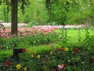 Castello di Pralormo:Messer Tulipano, prima parte