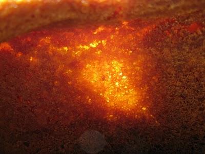 Torta di mele alla trentina