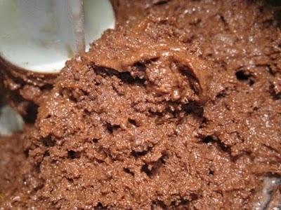 Prepariamo il dolce per Pasqua: La colomba al cioccolato di Mammazan e ...500° post o poco più!!!!