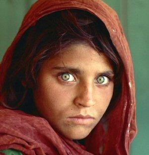 http://littlecorner.altervista.org/_altervista_ht/blog_pics/foto_sharbatgula.jpg