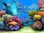 Trasformare il desktop del PC in un acquario tropicale animato