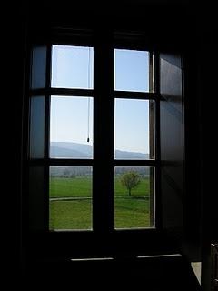 * TENDINE IN APPALTO *