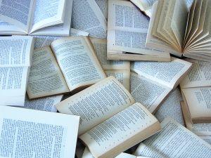 Booksystem: come si costruisce un successo editoriale
