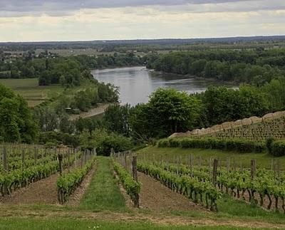 La Città del Vino nuragica scoperta nella Valle del Tirso...