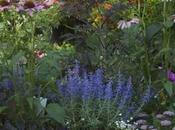 Horti Venetiani 2010: reportage.