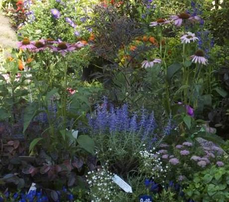 Horti Venetiani 2010: reportage.