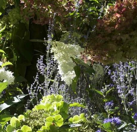 Horti Venetiani 2010: reportage.