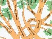 vera origine degli Indoeuropei