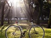 UH02: bamboocycles