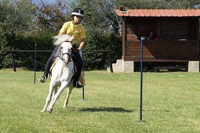 pony games alla Querce