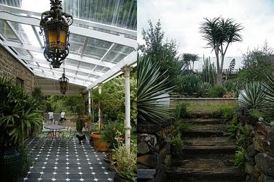 saint verde digest_blog Neville Trickett