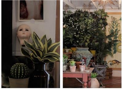 saint verde digest_blog Neville Trickett