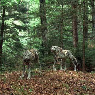 UNA PIACEVOLE SORPRESA: ARTE SELLA