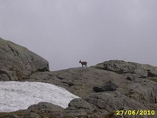 RELAZIONE DELLA GITA AL RIFUGIO BENIGNI