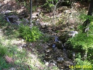 FOTO DEL MONTE CROCE, IN ZONA VARALLO SESIA 16 MAGGIO