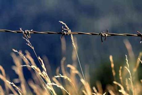 La poesia è un attentato celeste