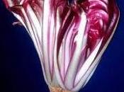 [ricette] Caramella radicchio taleggio noci