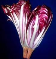 [ricette] Caramella di radicchio con taleggio e noci